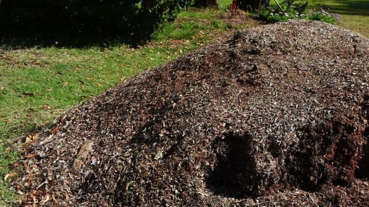 How to Compost Wood Chips Fast