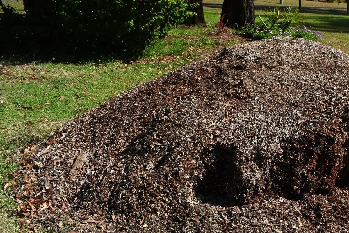 a pile of wood chips in the backyard