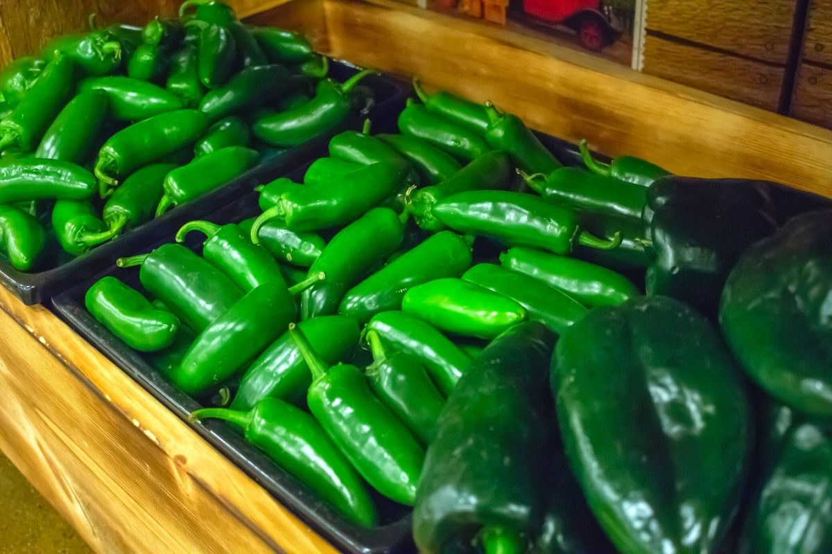 Jalapeno peppers