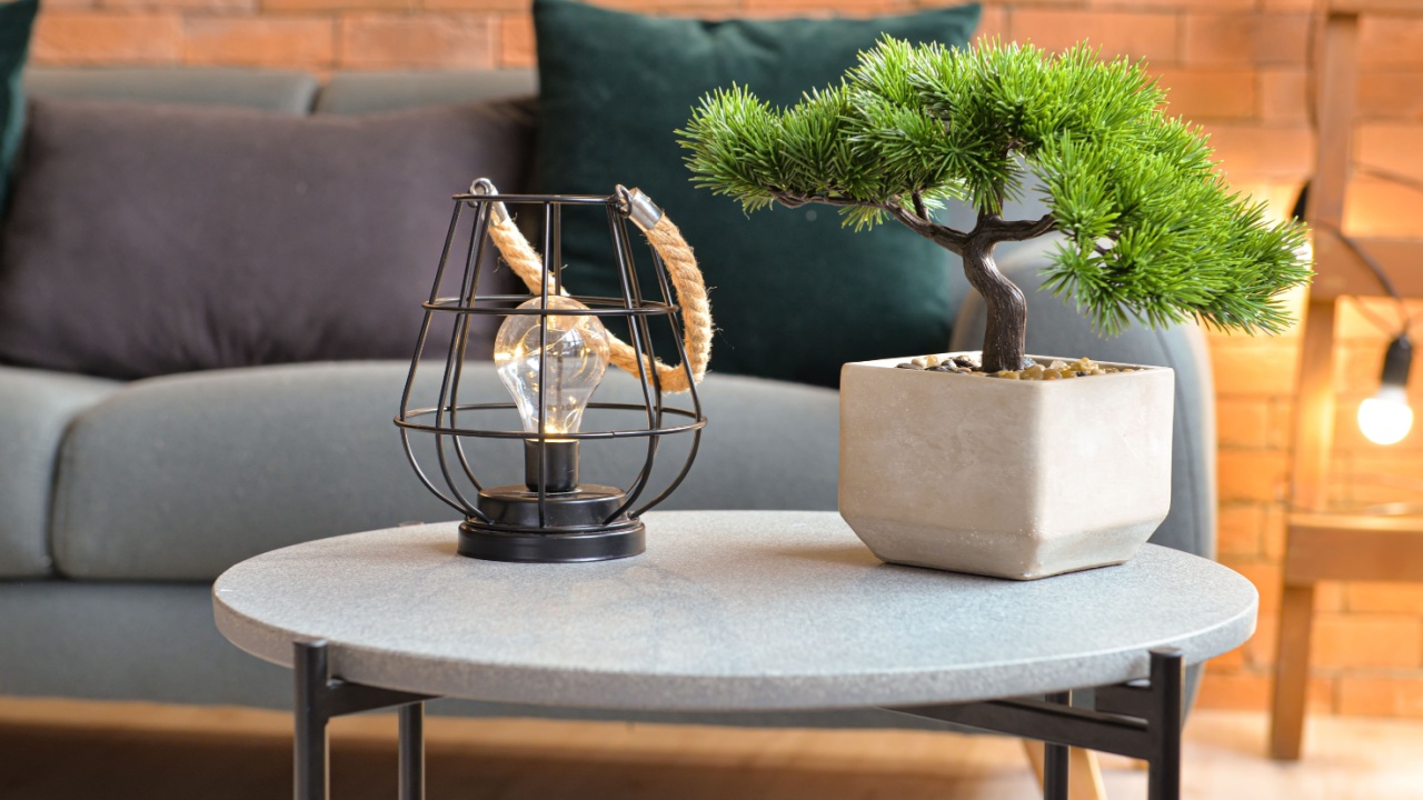 Stylish interior of living room with grey sofa, table with lamp and bonsai tree