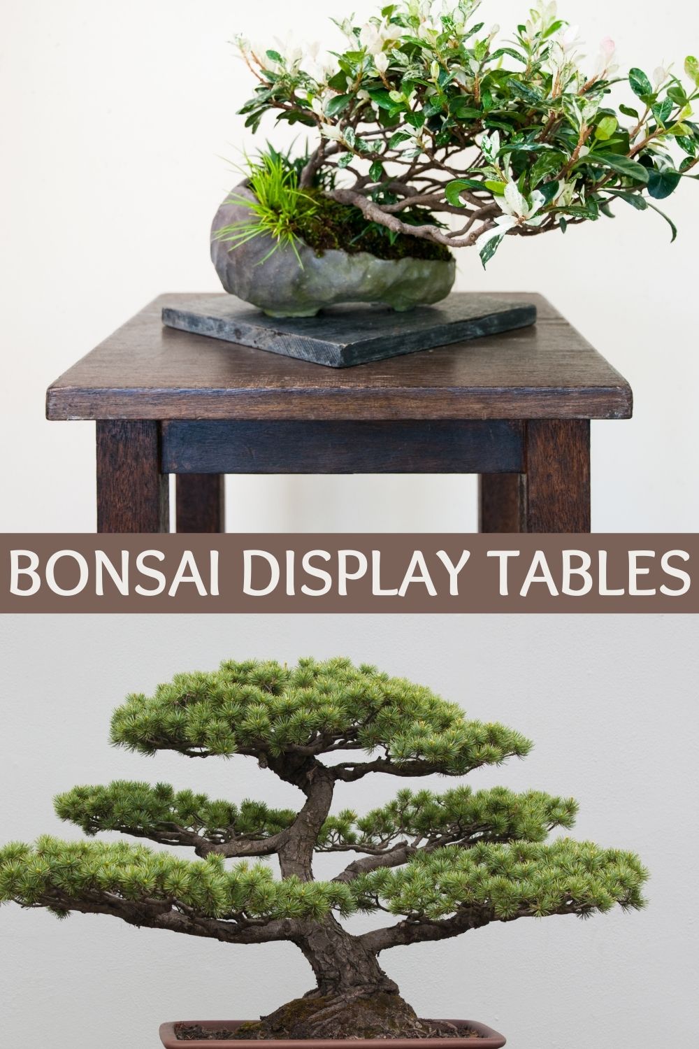 bonsai display tables