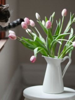 cat sitting on a windosill and pawing tulips in a vase closeby