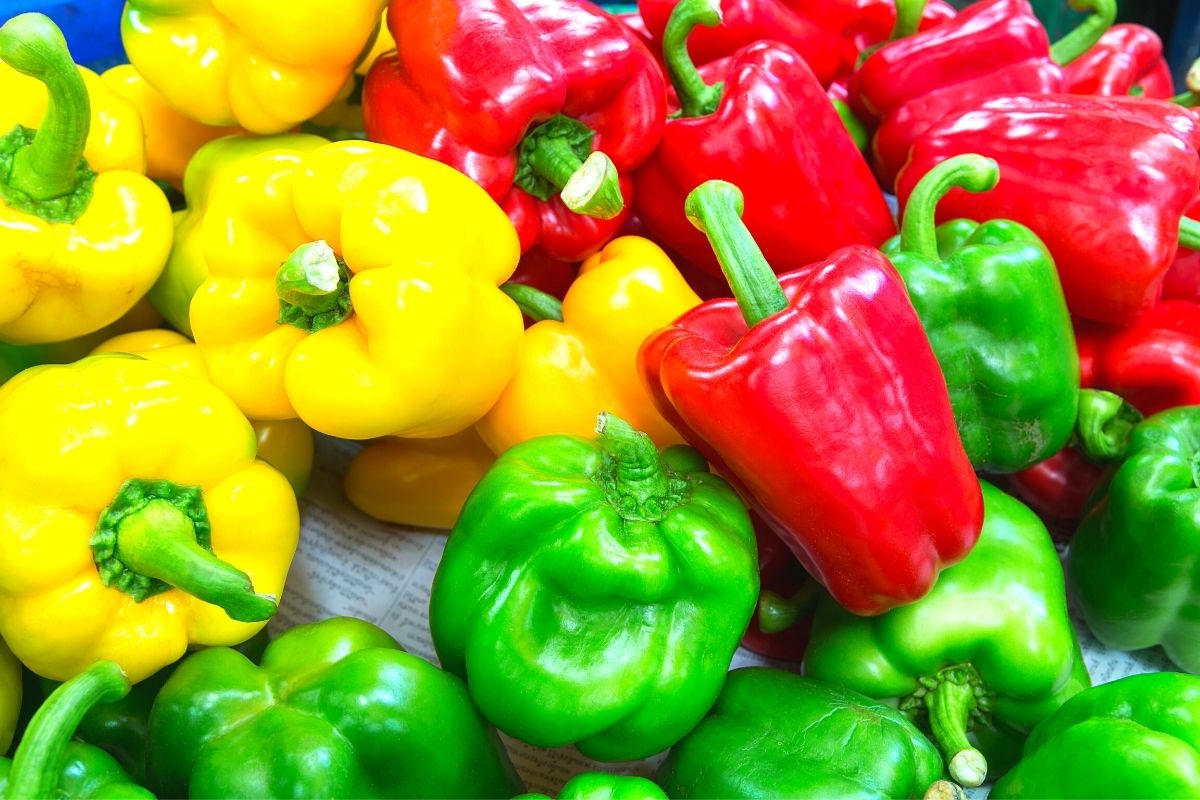 red, green and yellow sweet peppers