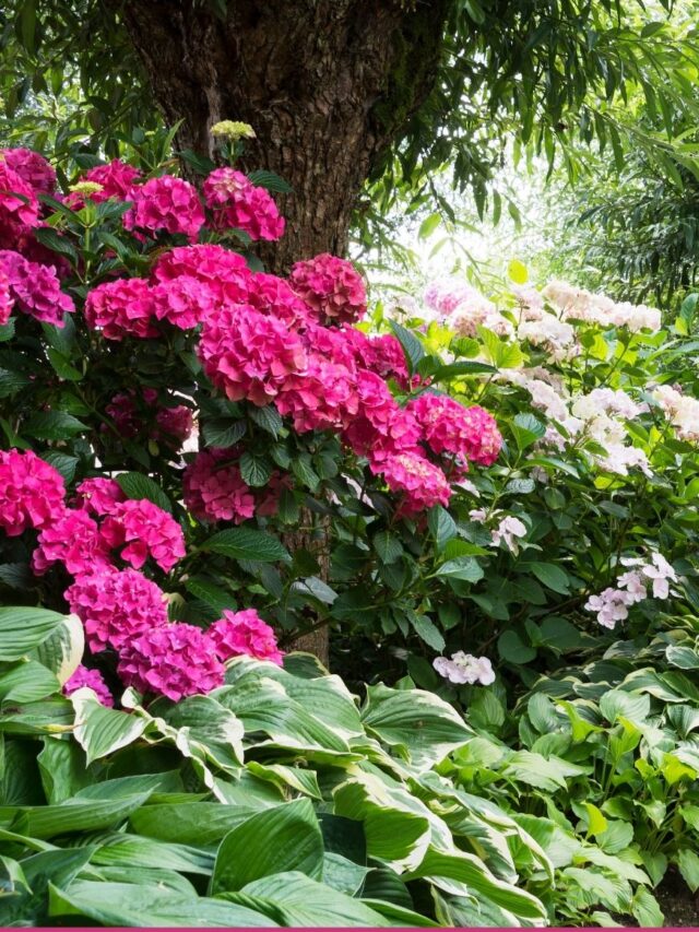 What to Plant With Azaleas for a Lush Spring Garden