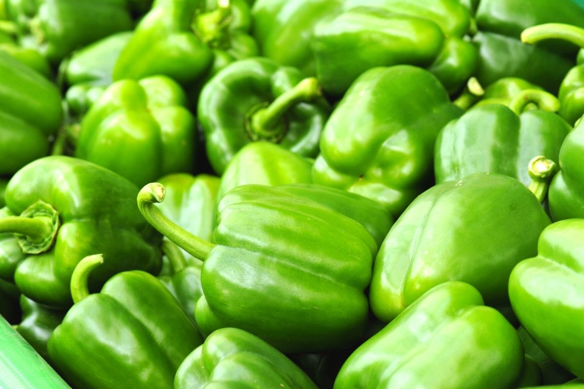 green bell peppers