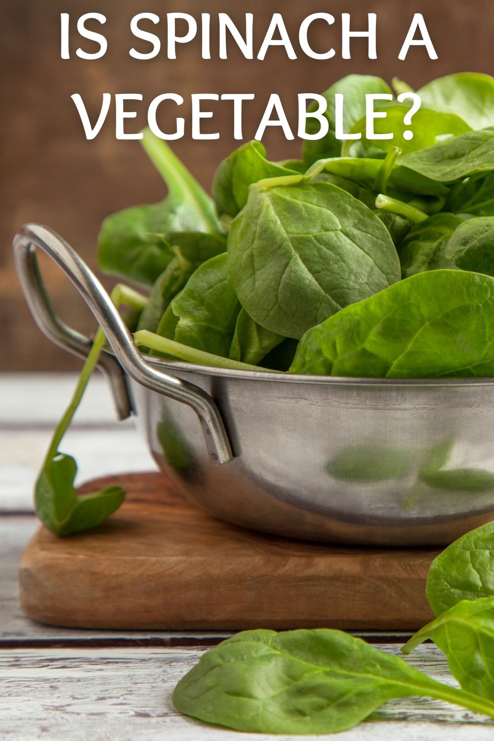 is spinach a vegetable? 