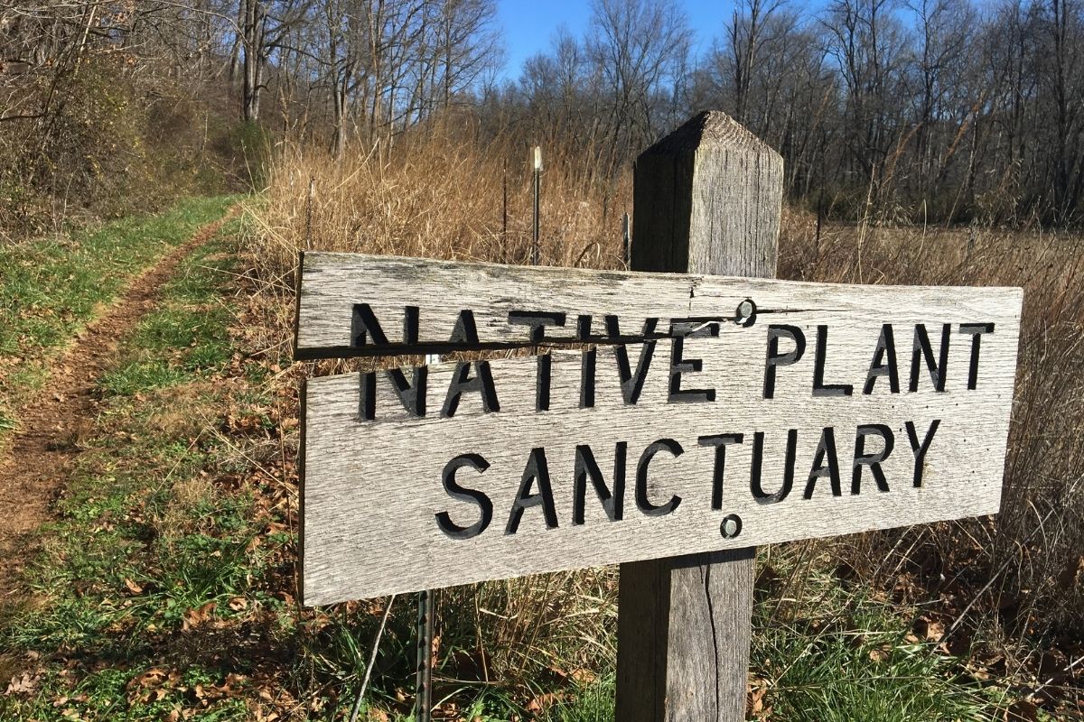 sign saying native plant sanctuary