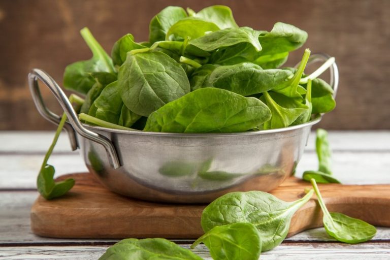 freshly picked spinach in a bowl