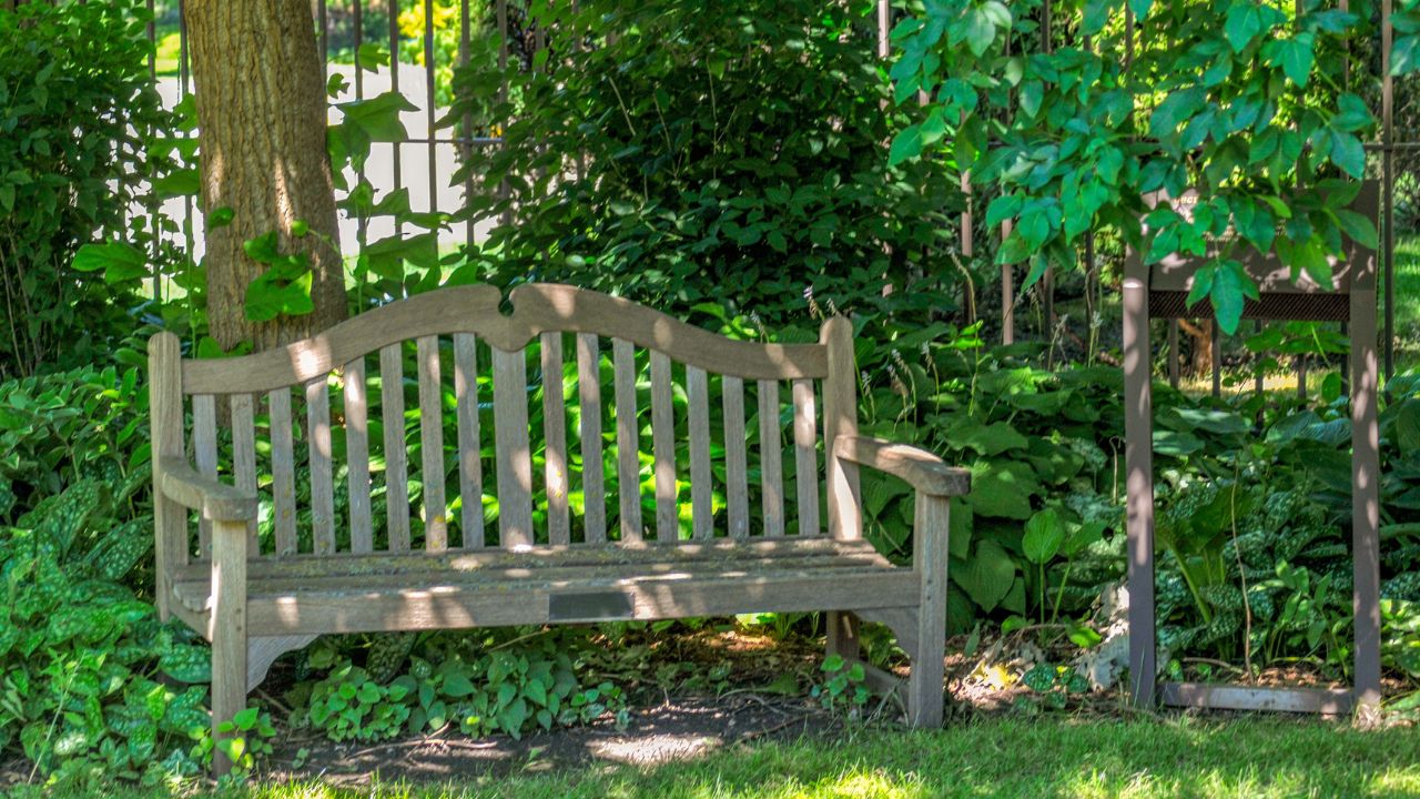 A wooden bench under a shade tree in the garden - Shade Gardening