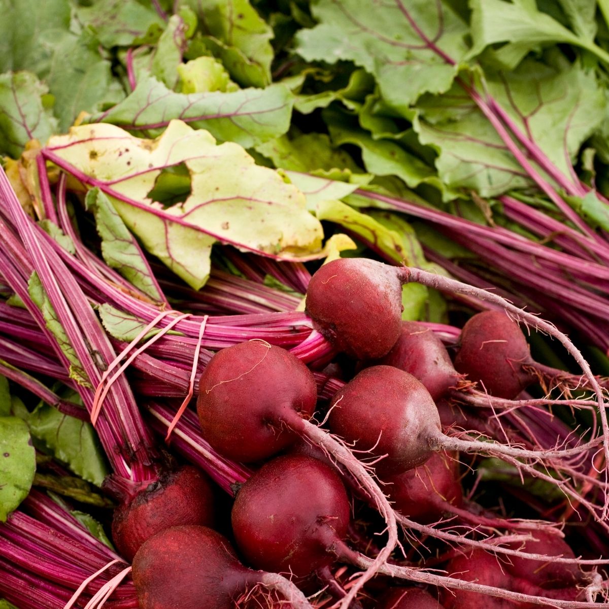 beets with leaves