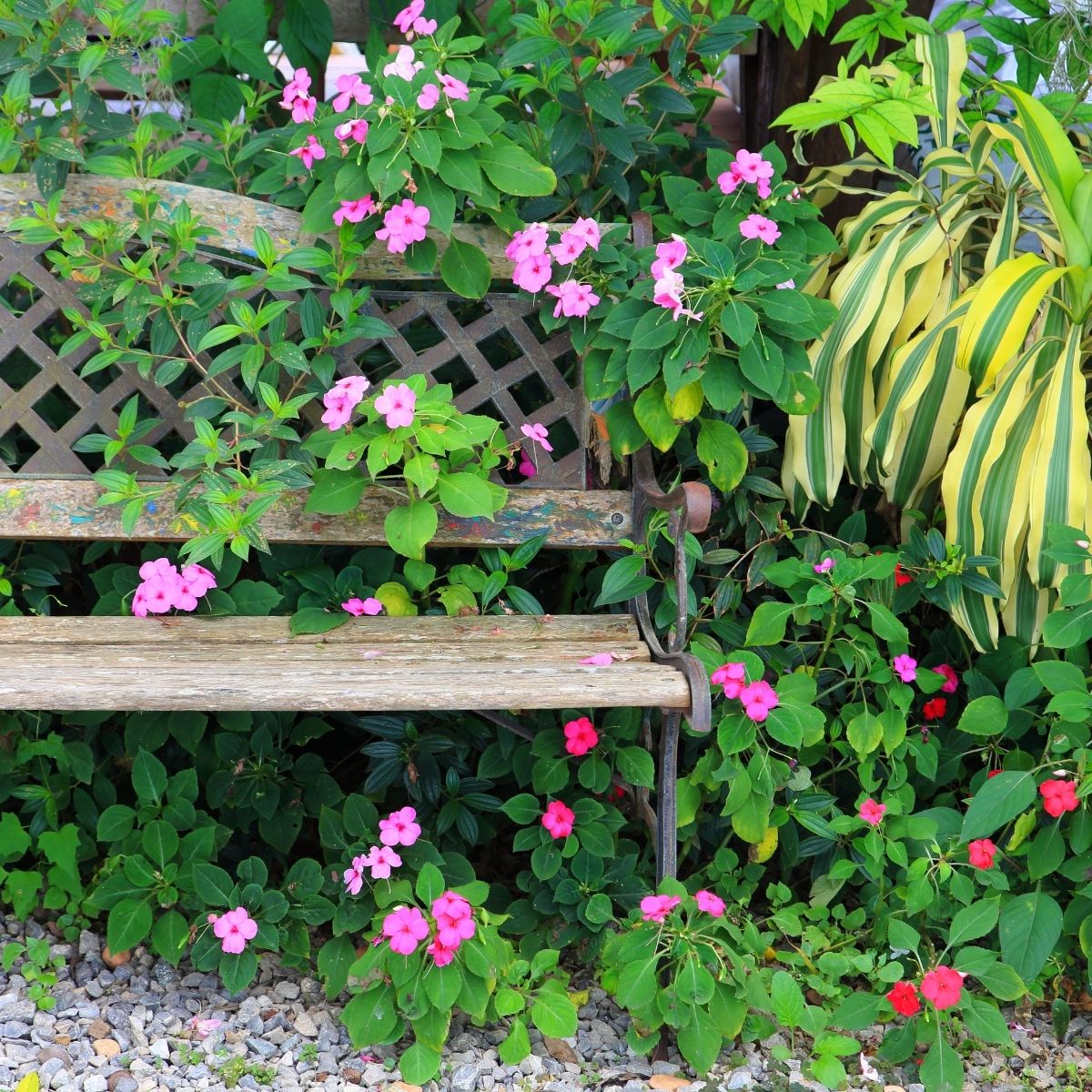 an old garden bench surrounded by colorful flowers