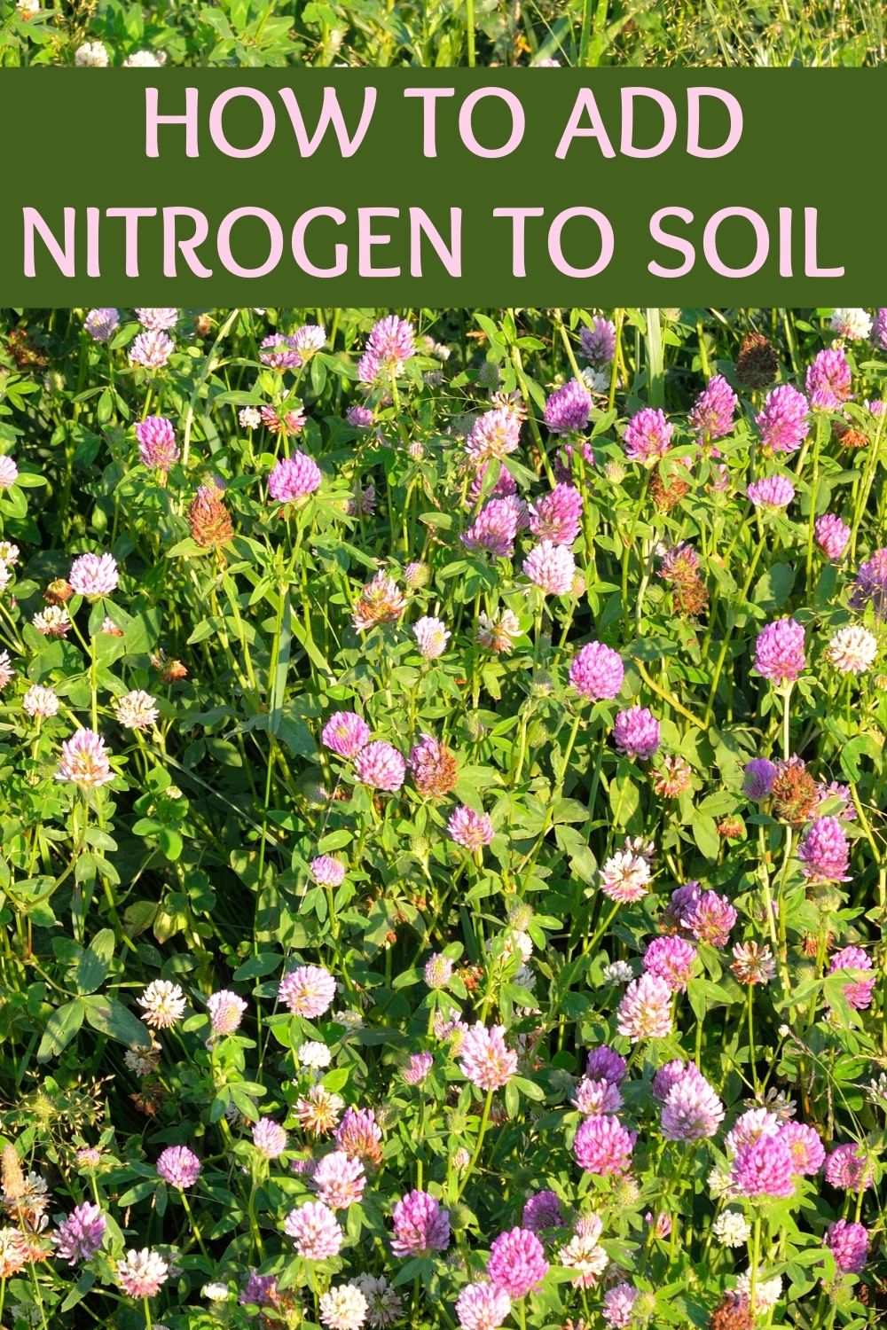 How to Add Nitrogen to Soil 