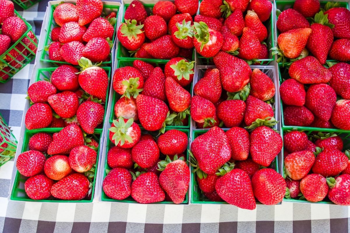 packaged strawberries ready for sale at the market