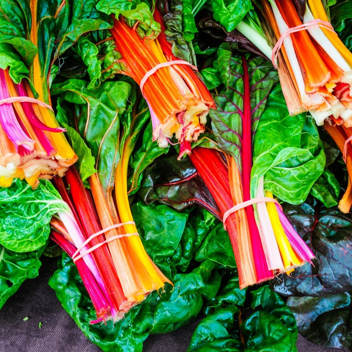 rainbow chard