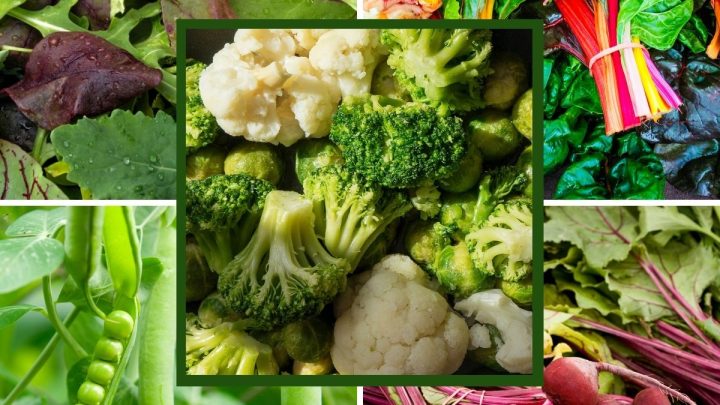 What Vegetables Grow In The Shade?