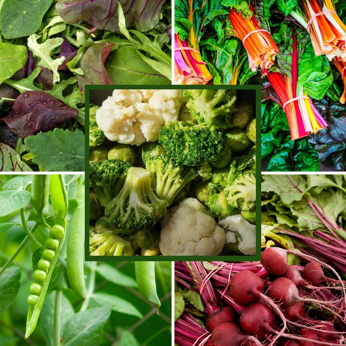 a collage of vegetables that grow in the shade