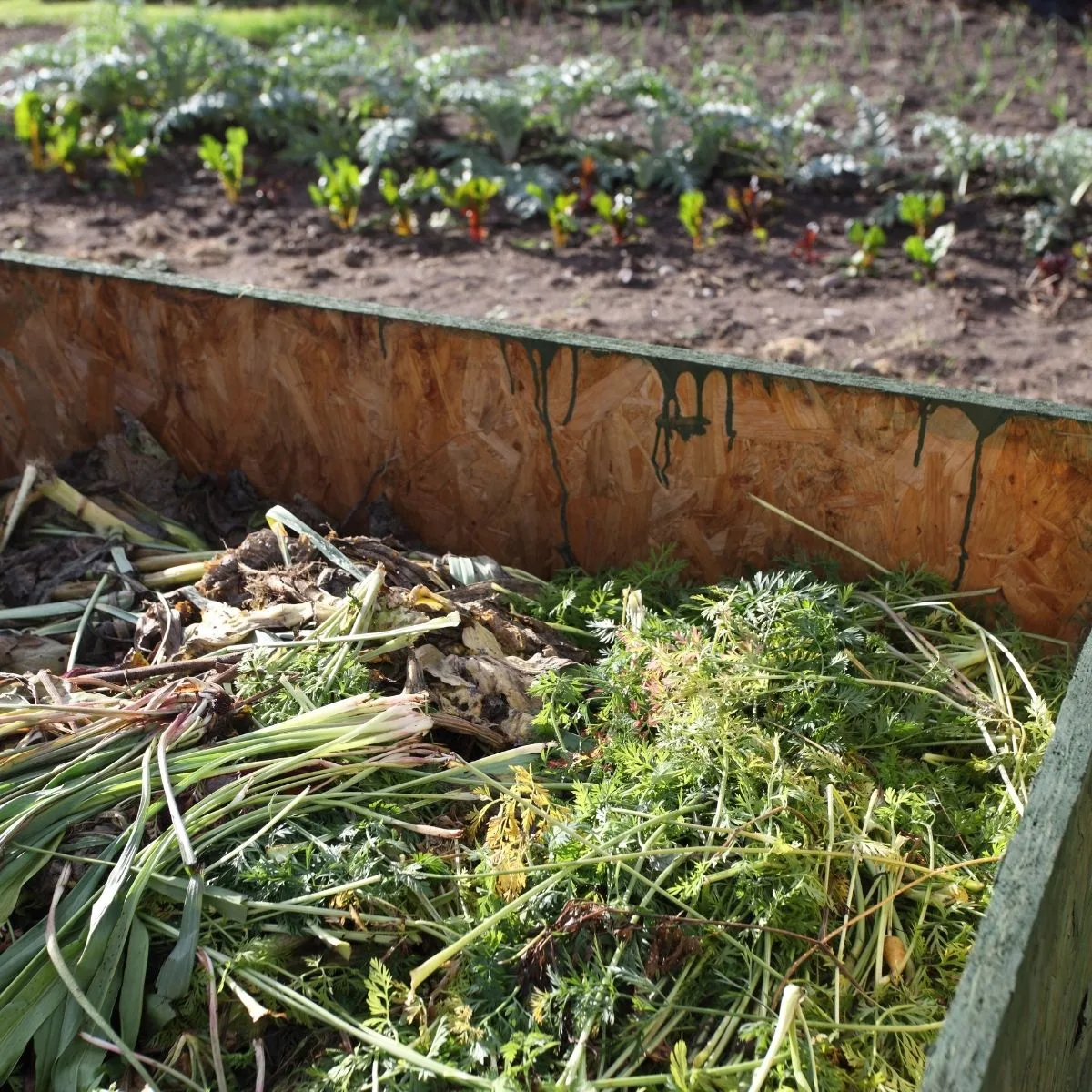 weeds added to the compost pile