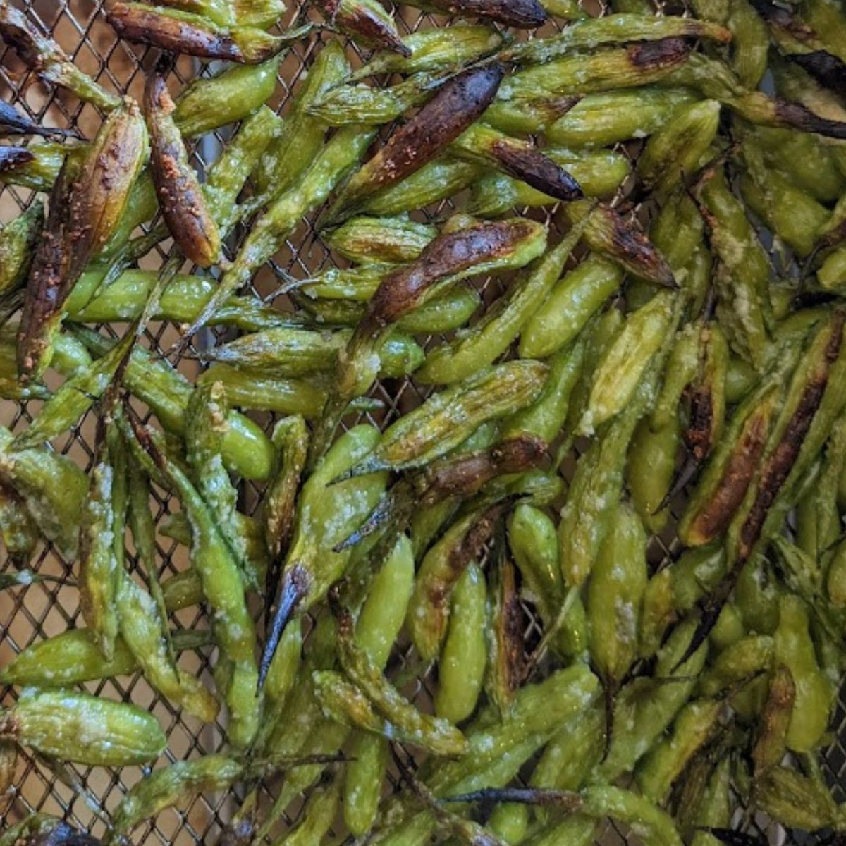 air fried radish seed pods