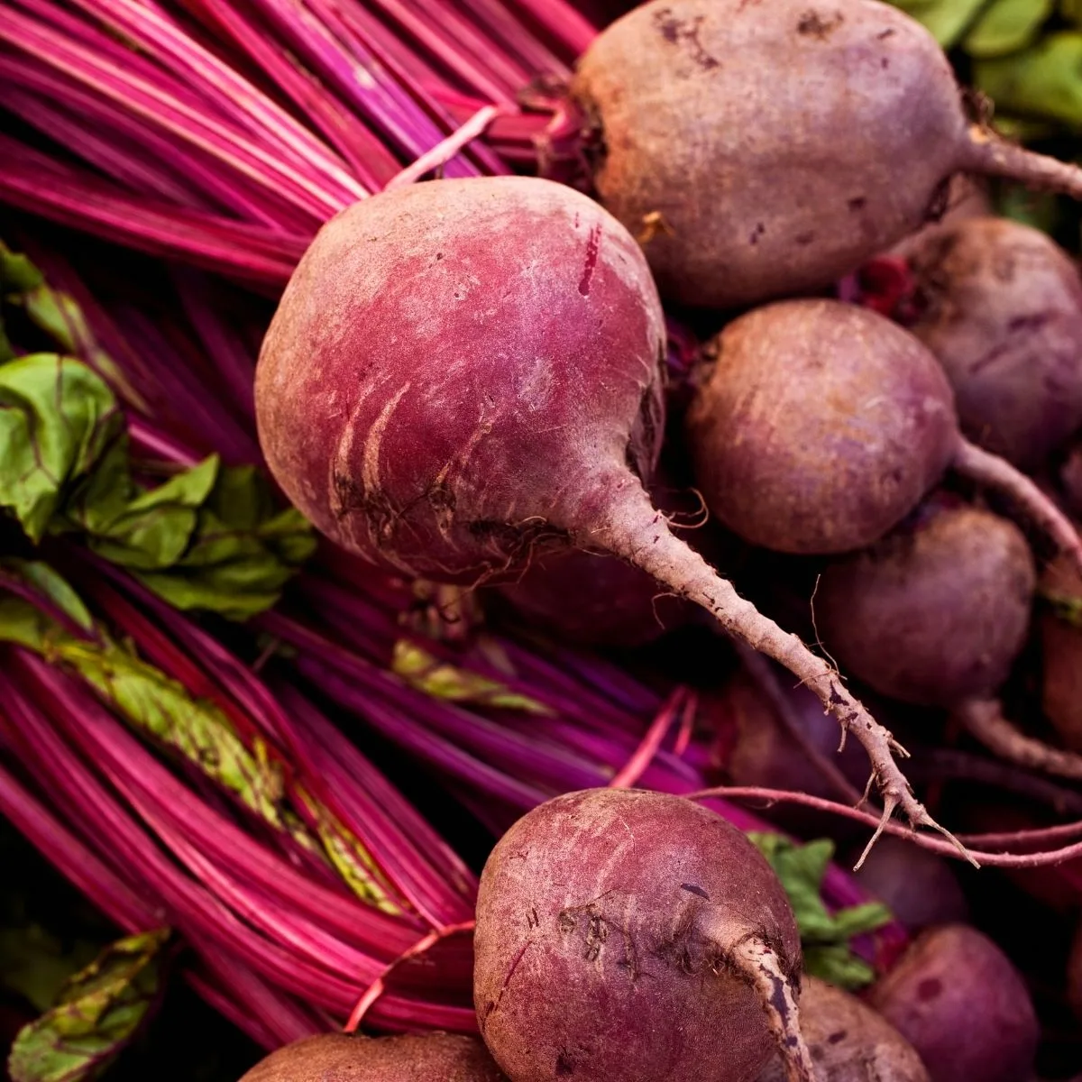 fresh beetroot