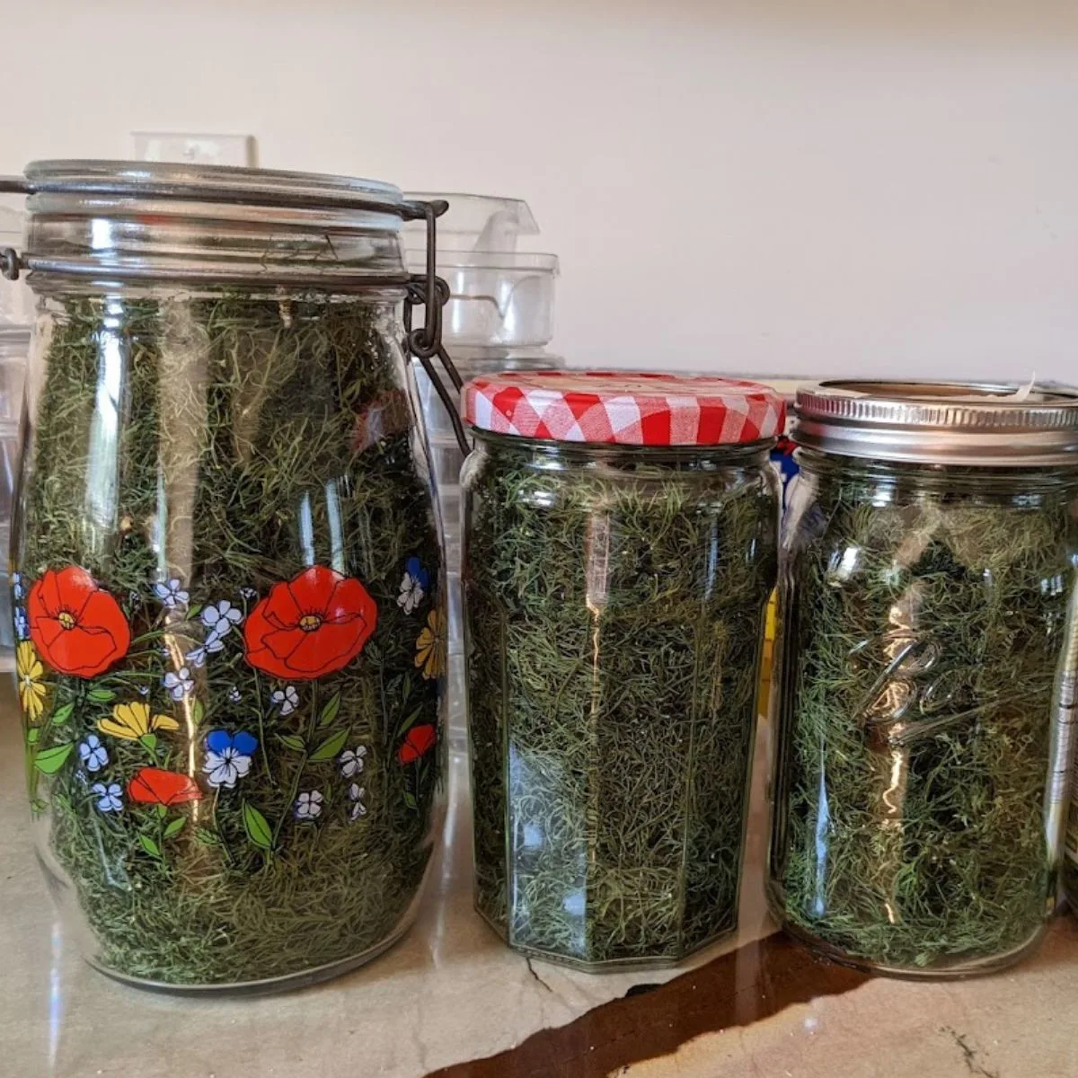 dried dill in glass jars