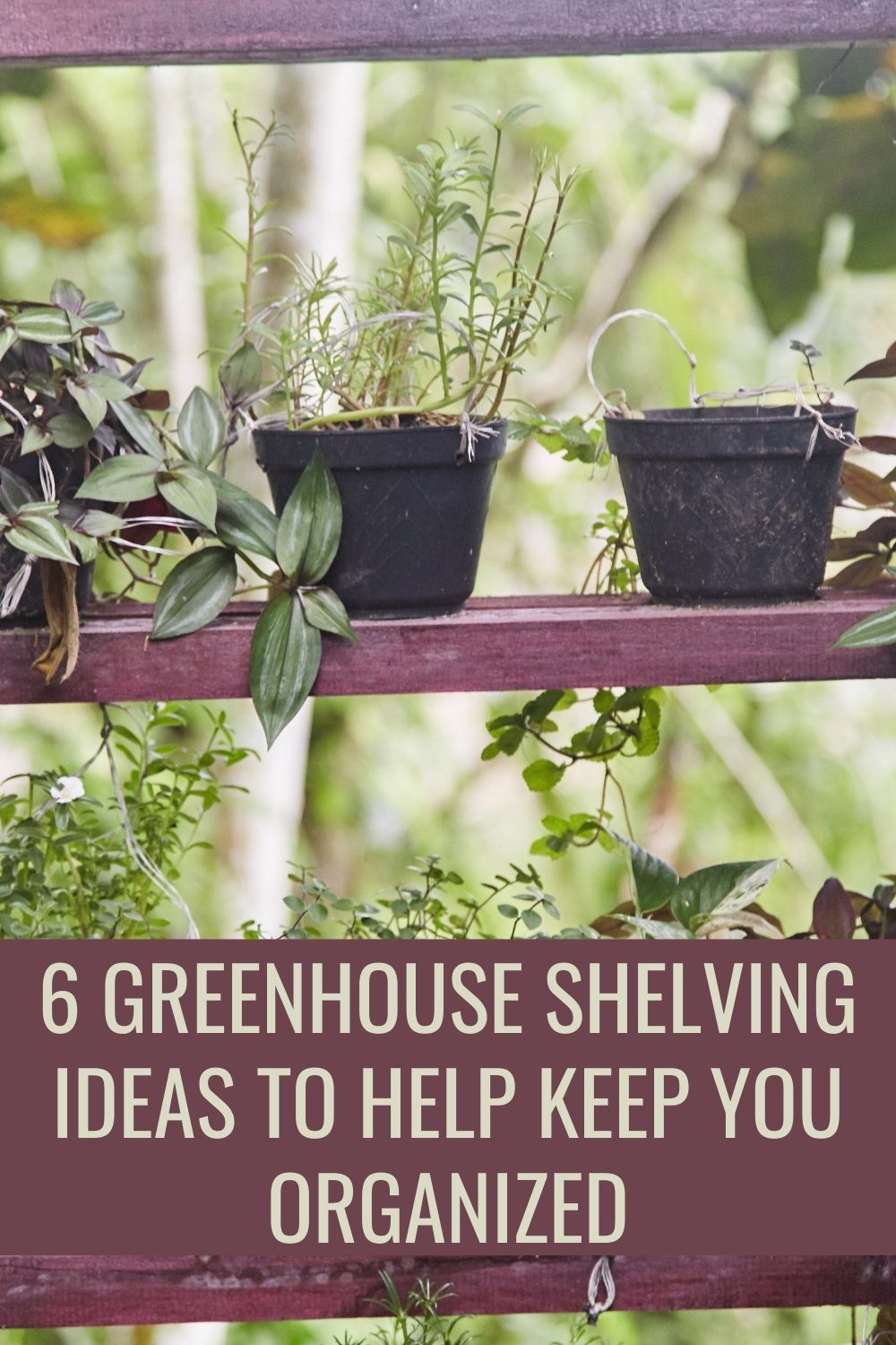 6 Greenhouse Shelving Ideas To Help Keep You Organized