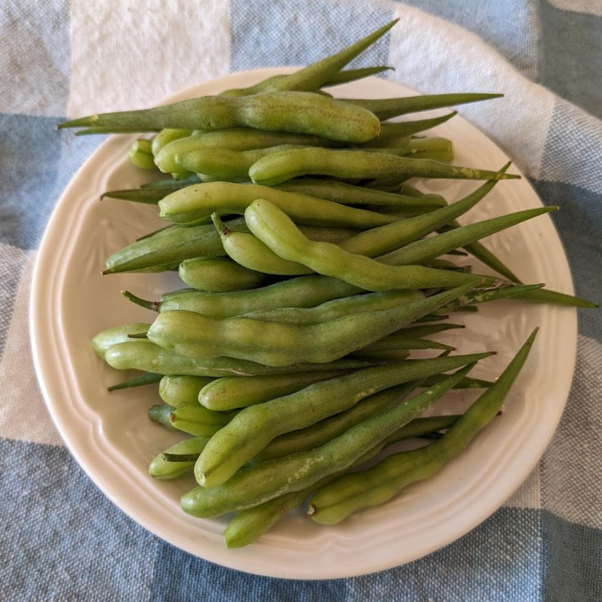 radish seed pods on a white plate