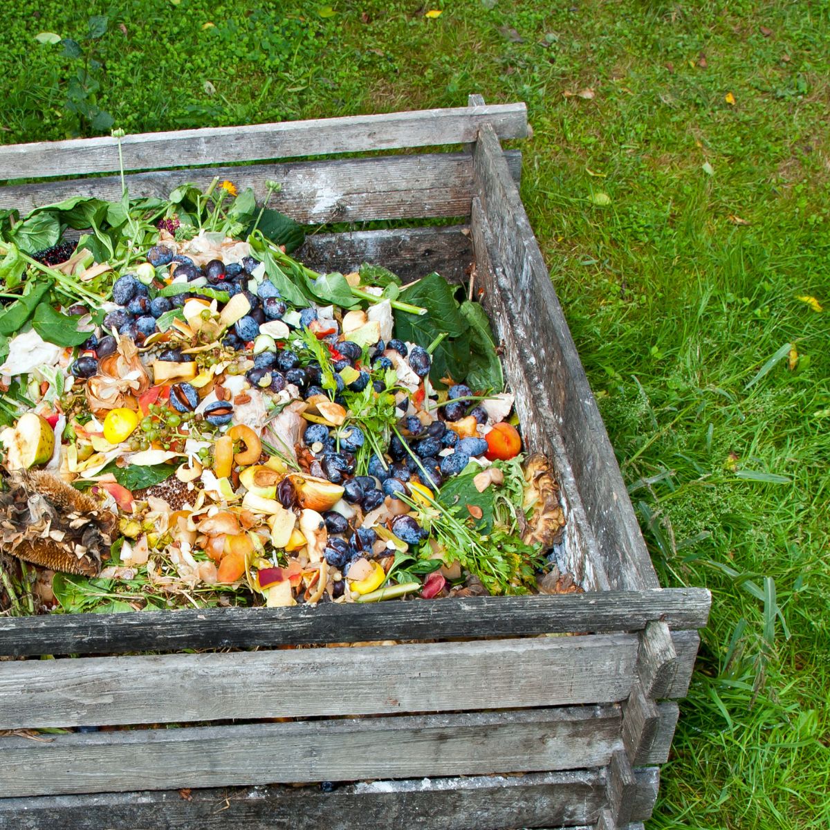 wooden compost bin
