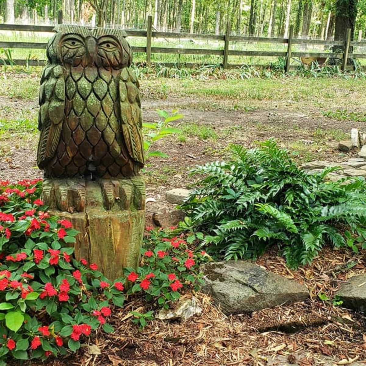 chainsaw aert- owl, surrounded by red impatiens