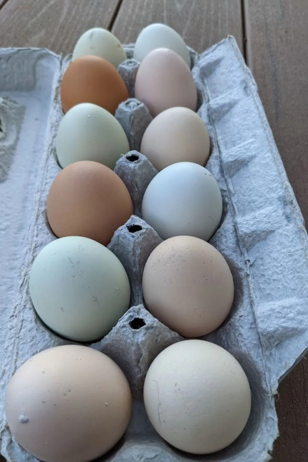 a dozen of colorful eggs