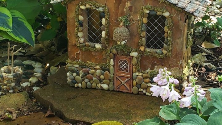 Cathy’s Beautiful Shade Garden