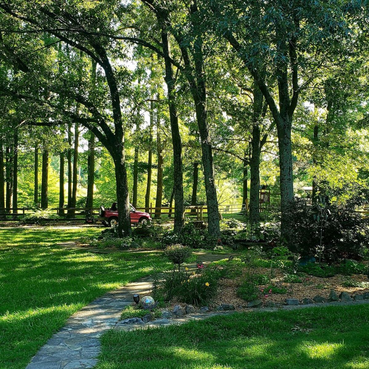 mowing grass under the trees