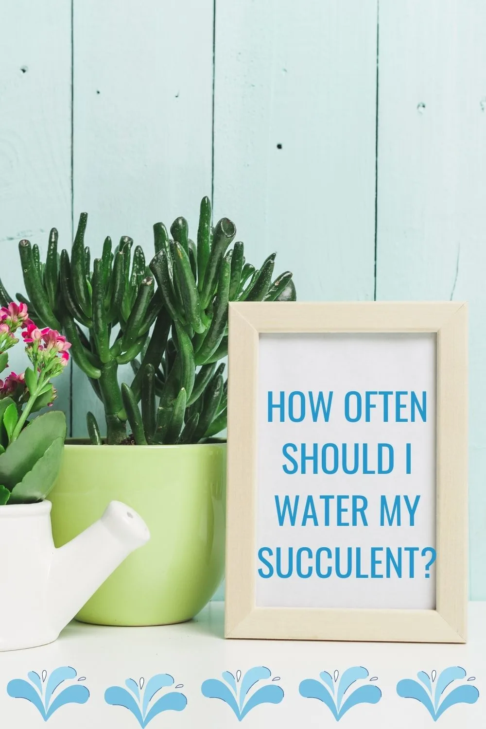 how often should I water my succulent