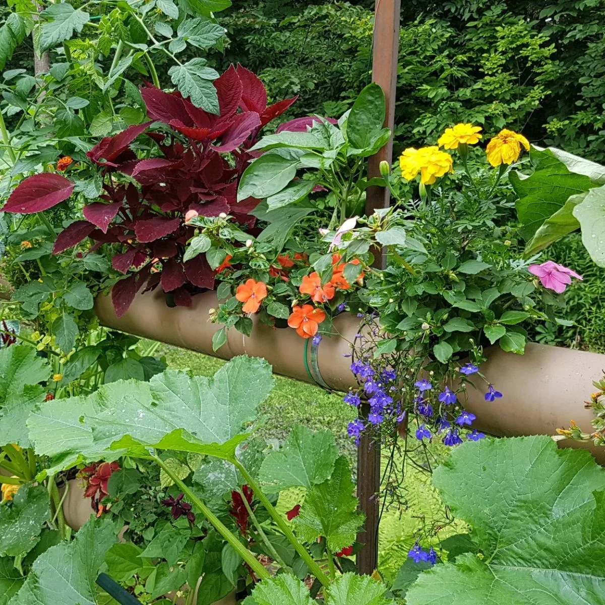 living wall with lots of colorful flowers