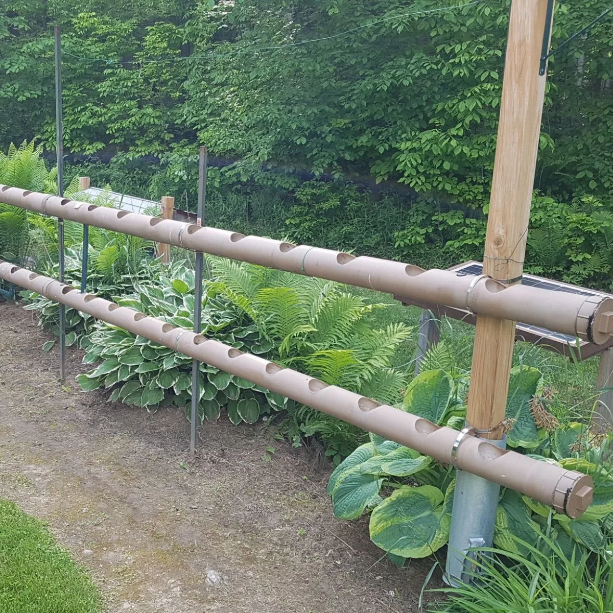 pvc pipes set up for a vertical hydroponic garden