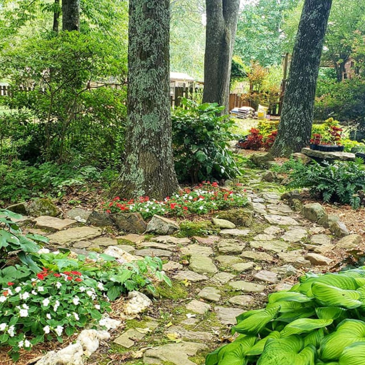 rock pathway under oak trees in Cathy's beautiful shade garden