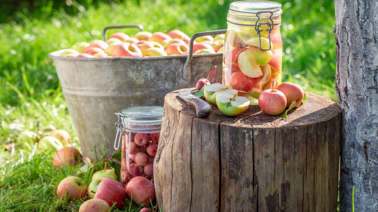 Homemade and fresh canned apples in summer garden. Preserving apples for the winter as compote.