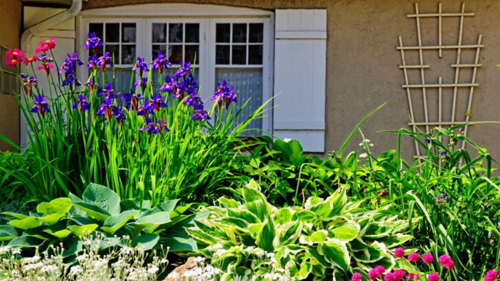 9 Beautiful Companion Plants For Hostas