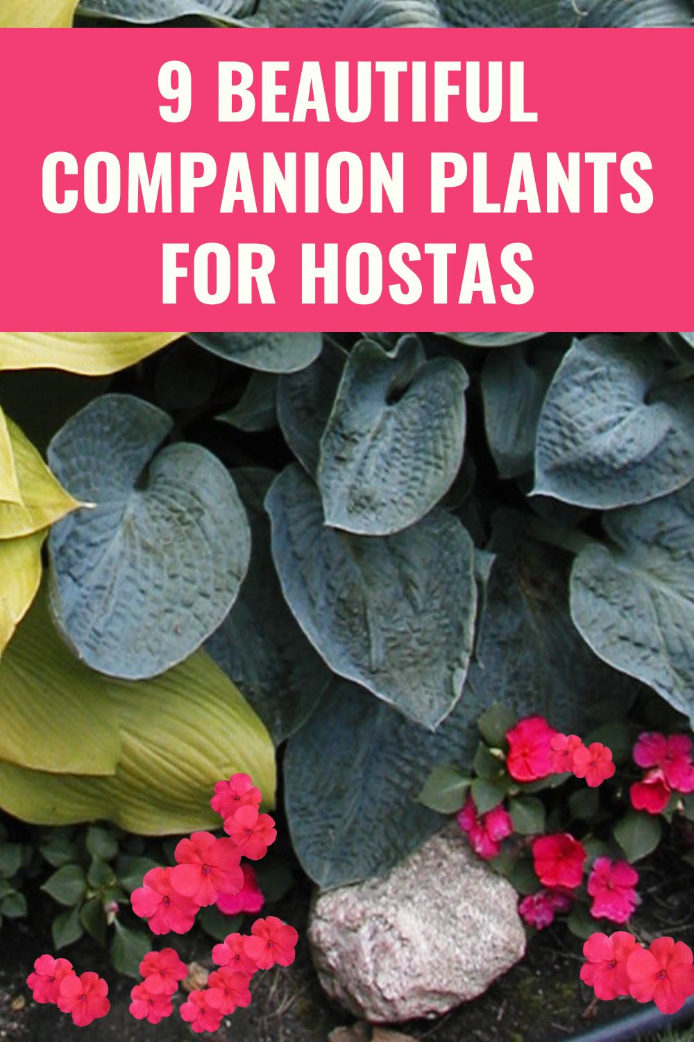 9 beautiful companion plants for hostas