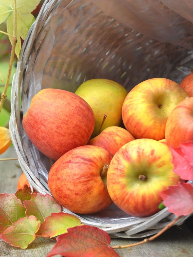 10 Ways To Use Apples This Fall