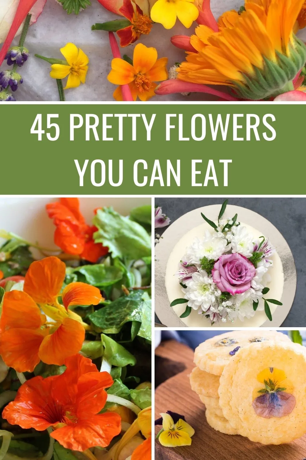 45 pretty flowers you can eat