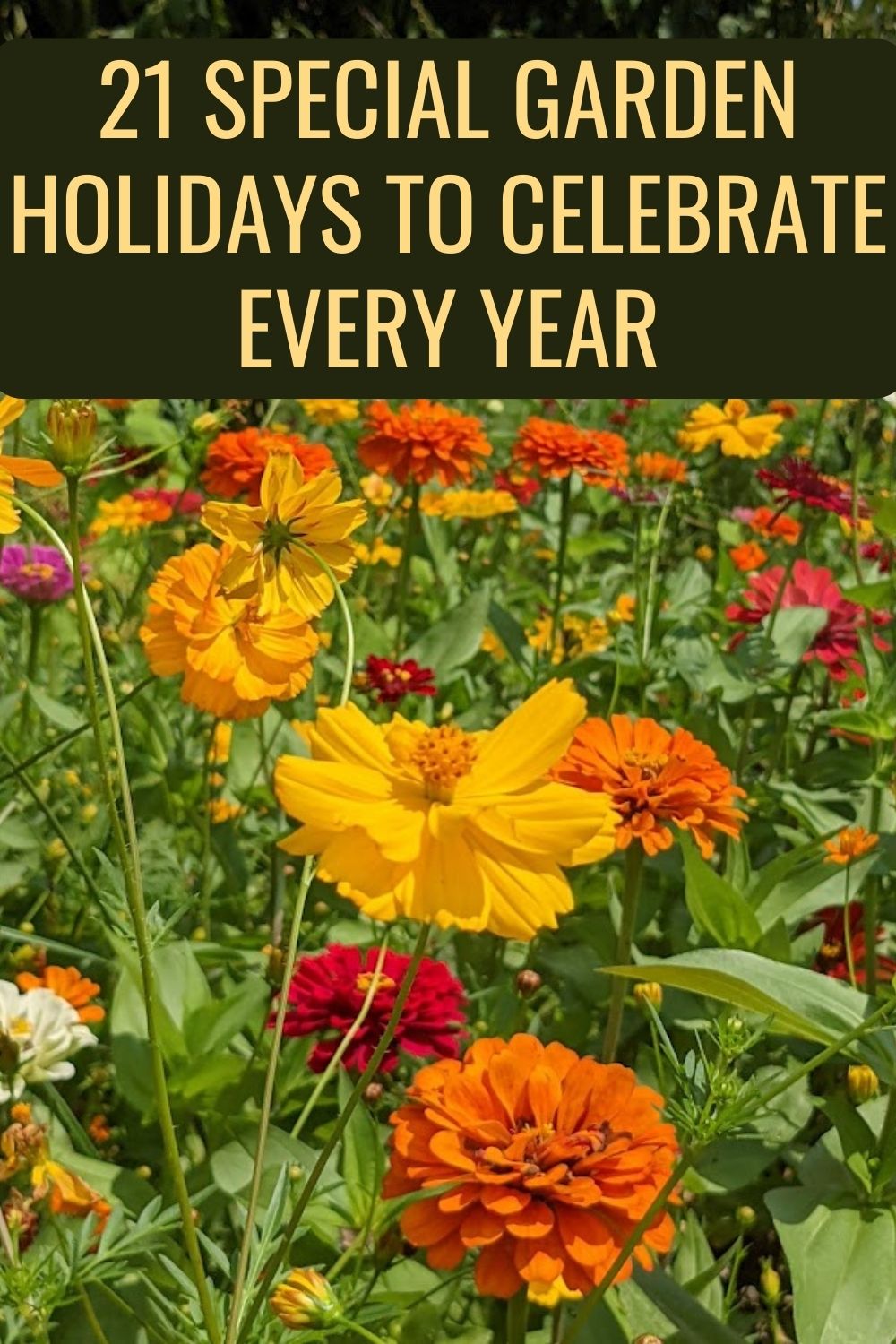 21 Special Garden Holidays To Celebrate Every Year