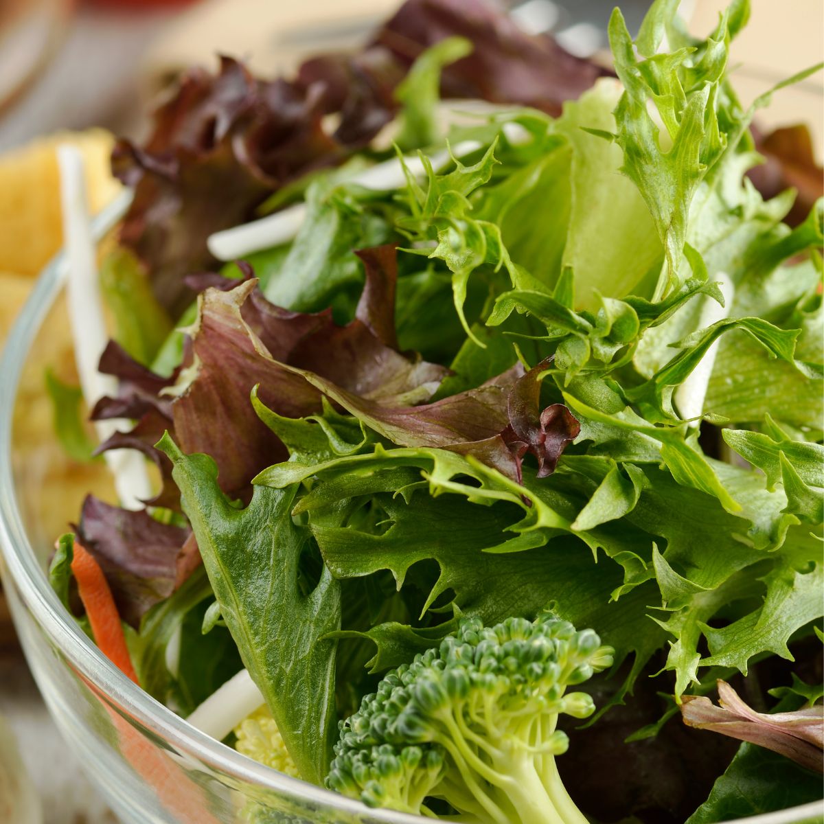 a bowl of fresh garden salad