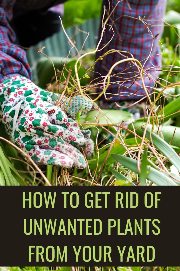 How To Get Rid Of Unwanted Plants From Your Yard