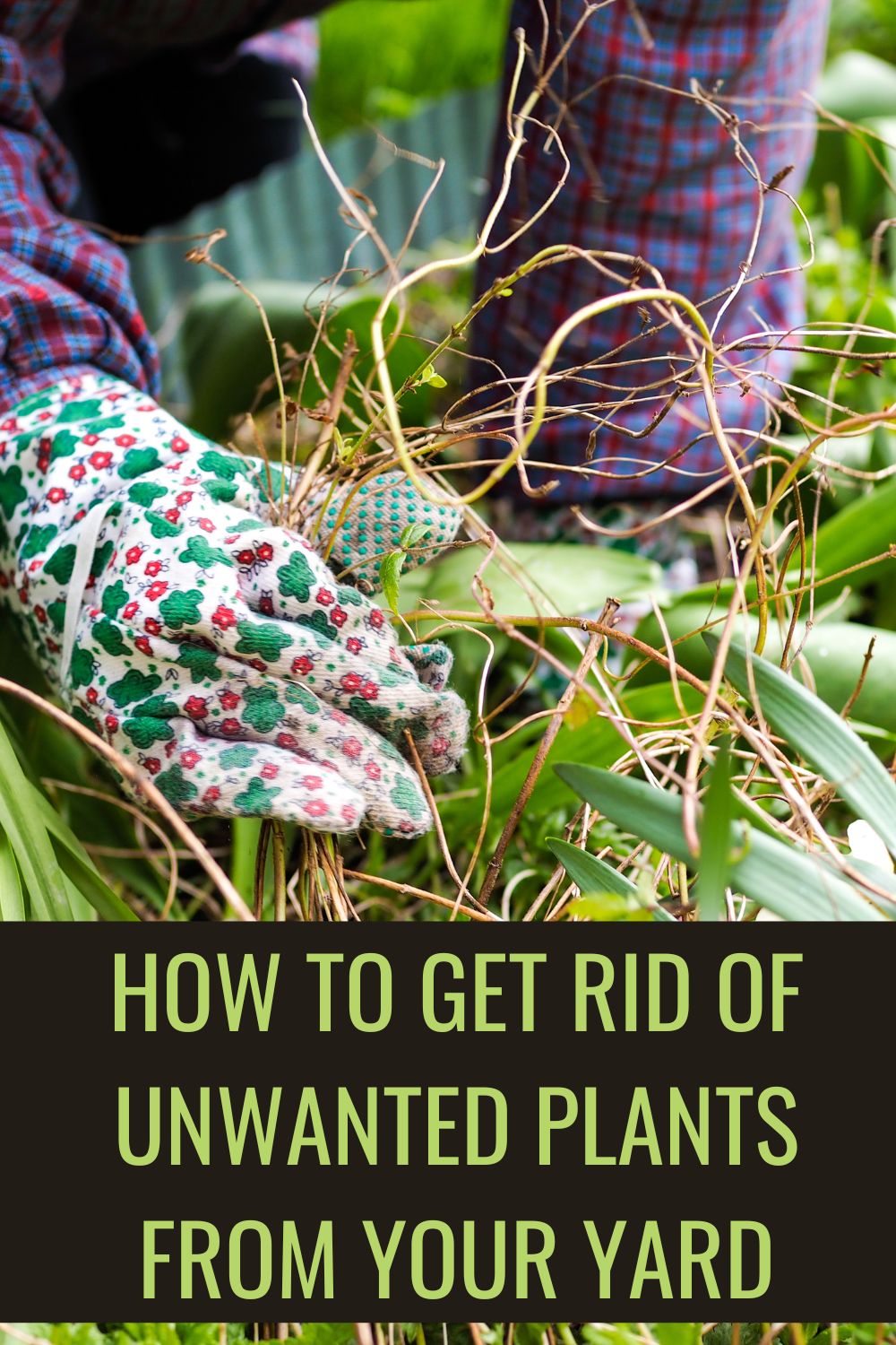 How to get rid of unwanted plants from your yard