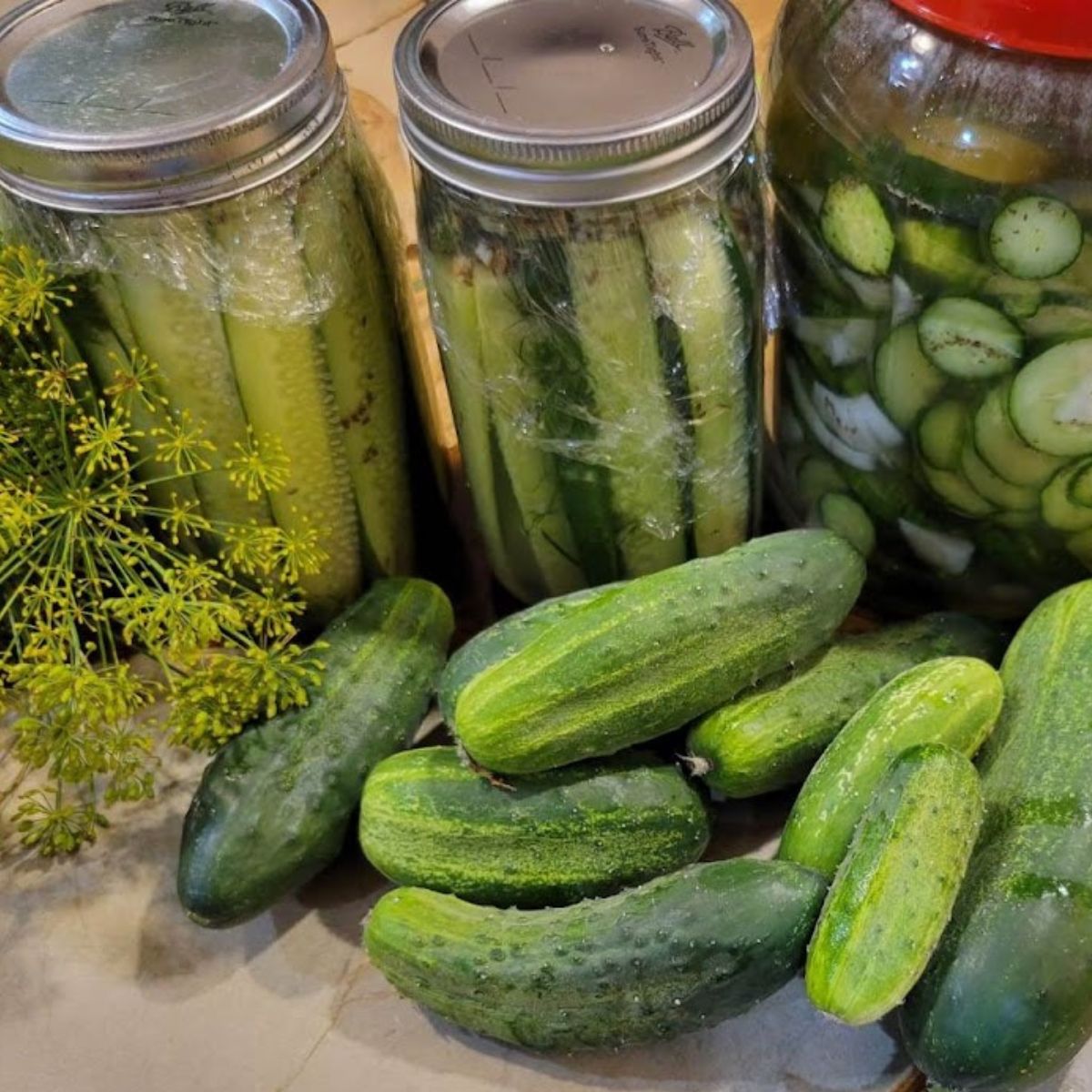ice-box dill pickles