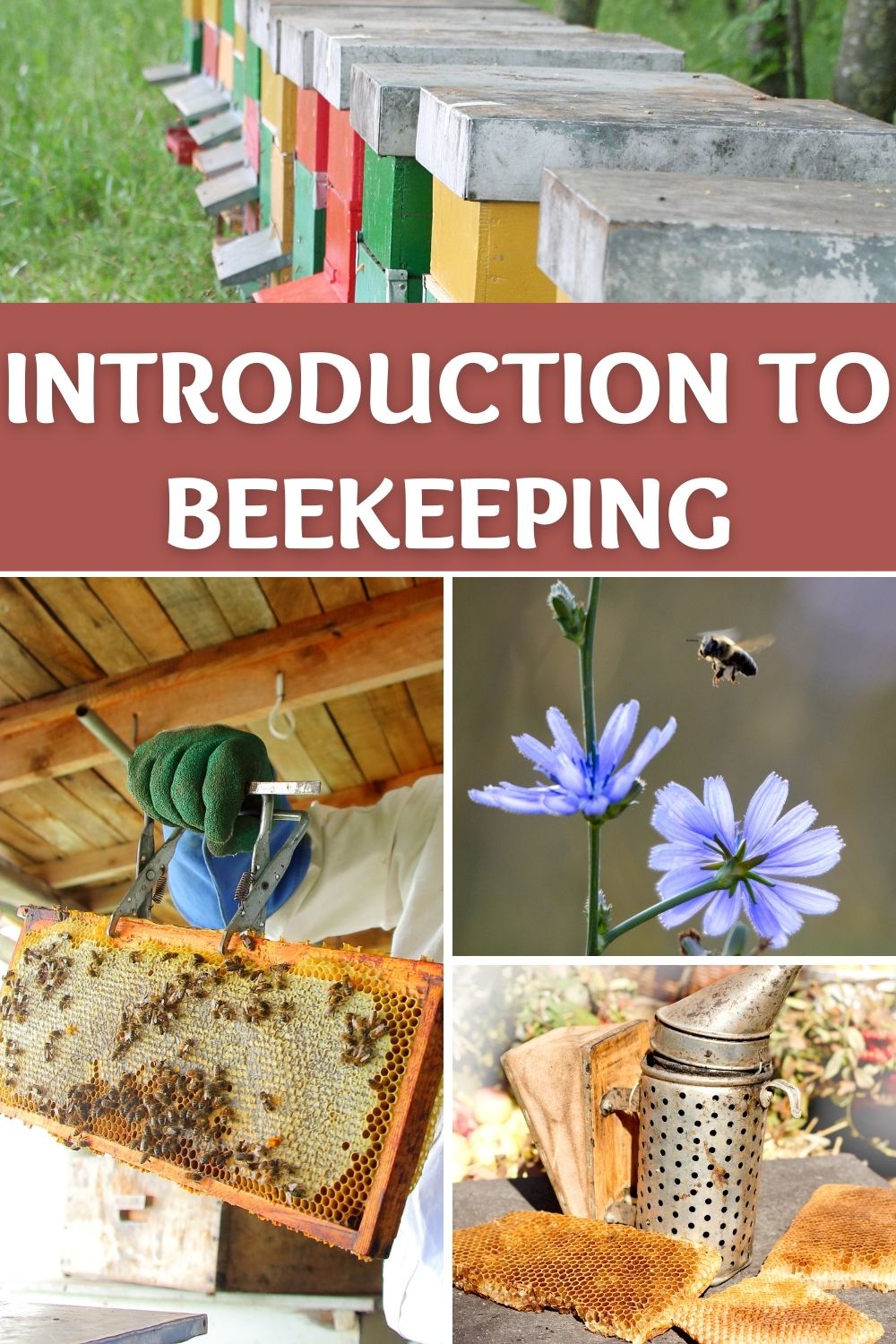 Quick Introduction to Beekeeping