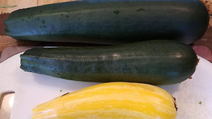 What To Do With Large Zucchini –  19 Delicious Ideas