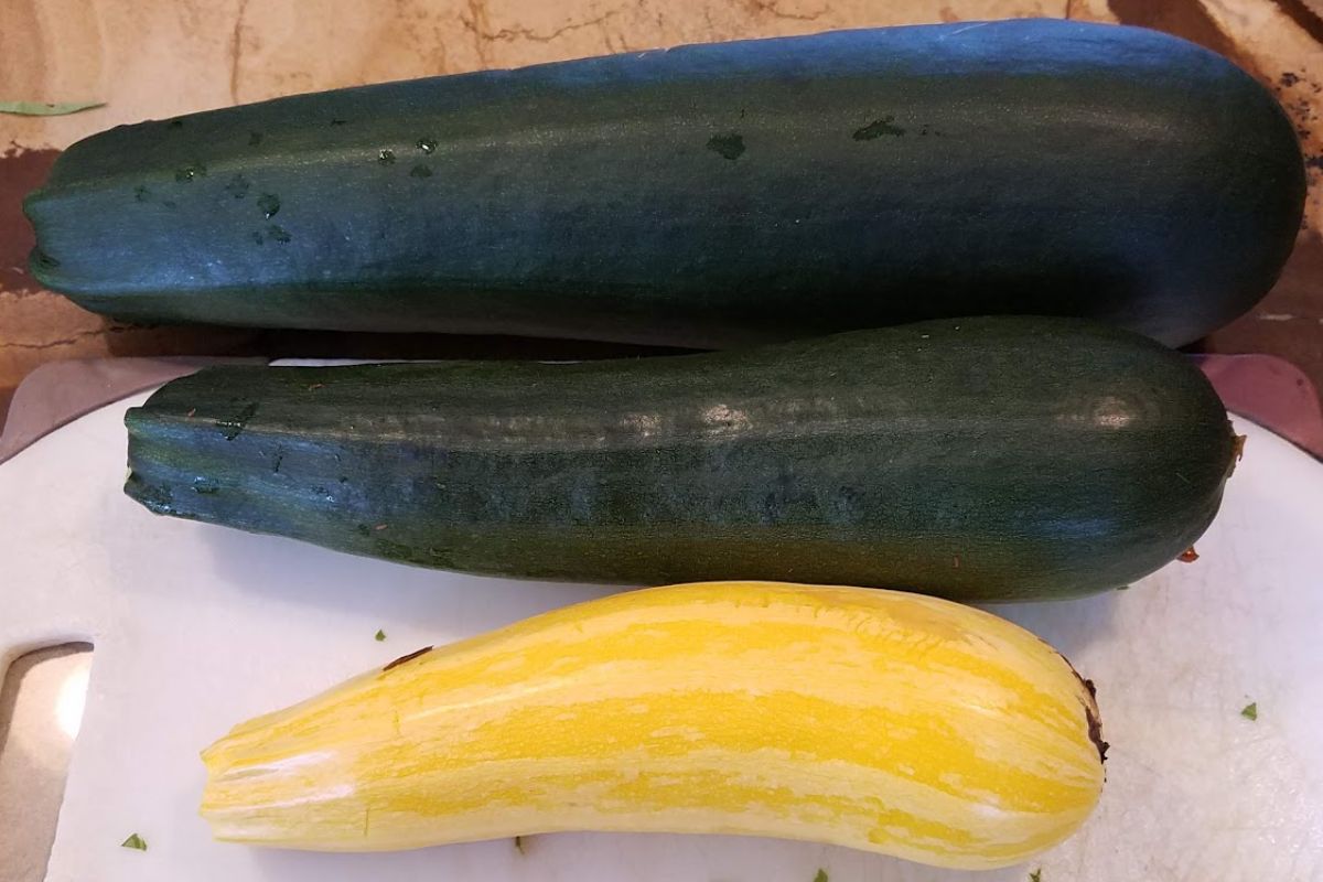 3 large zucchinis