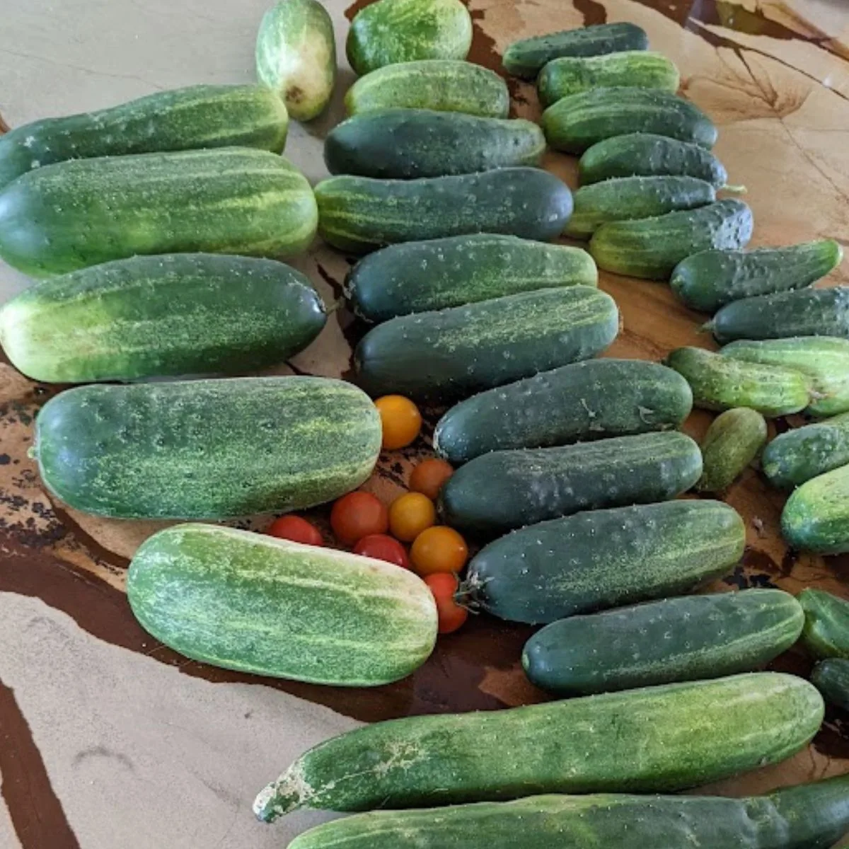 a pile of cucumbers on my countertop.
