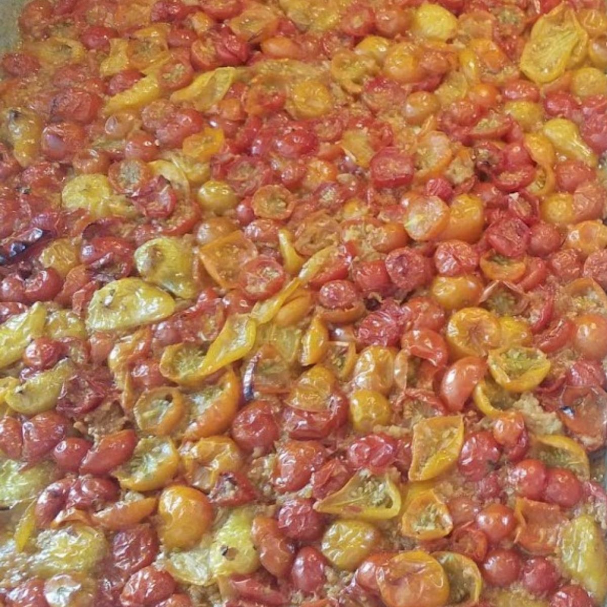 roasted tomatoes.